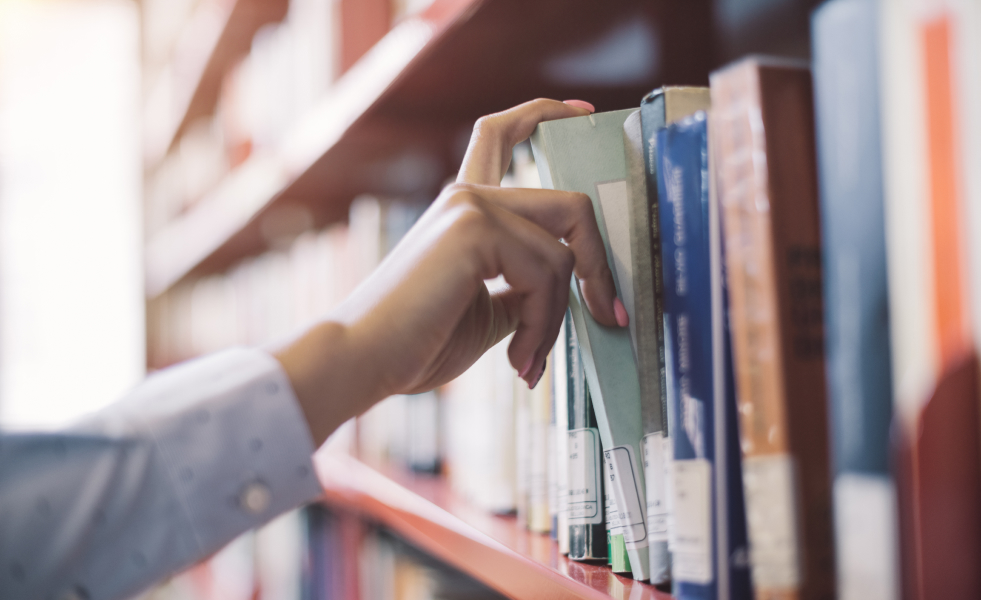 Lgb Bücherregal Mit Hand